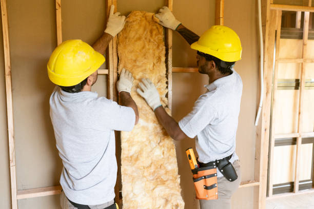 Best Insulation Air Sealing  in Dexter, MI